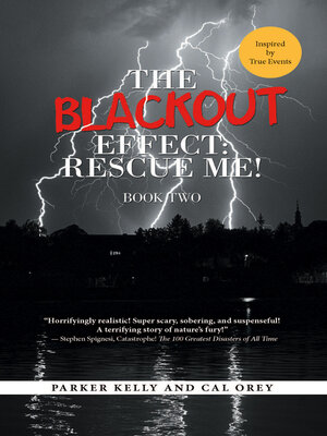 cover image of The Blackout Effect